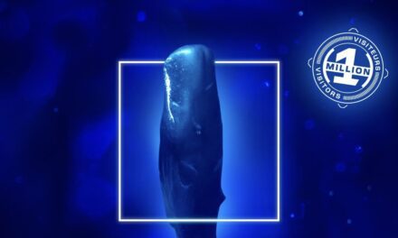 Oceanographic Museum’s “Méditerranée 2050” exhibition welcomes its millionth visitor
