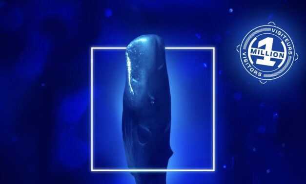Oceanographic Museum’s “Méditerranée 2050” exhibition welcomes its millionth visitor