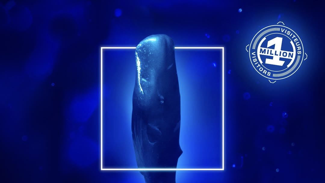 Oceanographic Museum’s “Méditerranée 2050” exhibition welcomes its millionth visitor