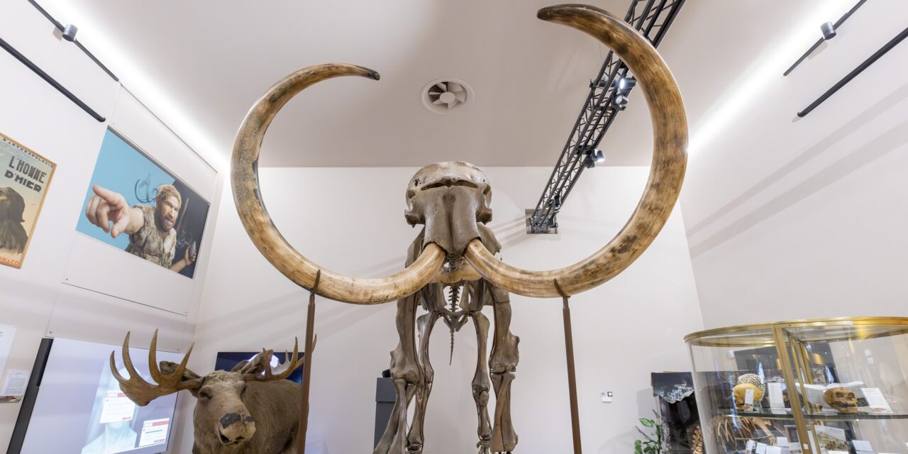 Monaco’s Museum of Prehistoric Anthropology opens applications for 2027 PhD scholarship