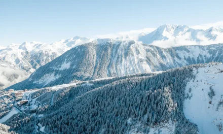 Making mountains out of Monte-Carlo