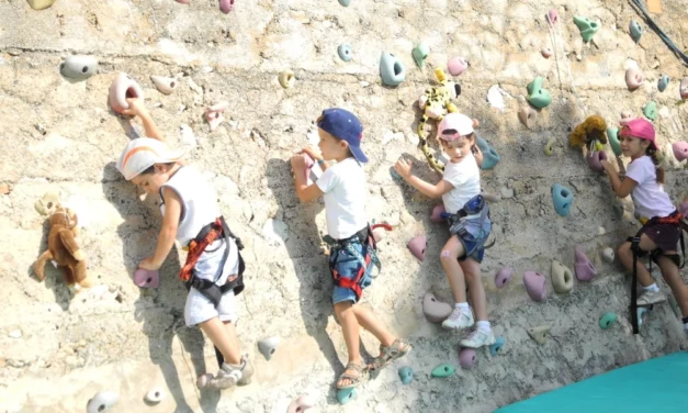 Summer adventures climb to new heights