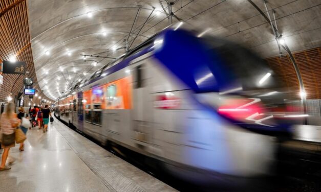 Man falls onto tracks, causing major disruption at Monaco station