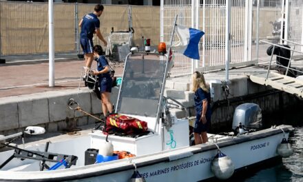 Marine guardians step up summer patrols