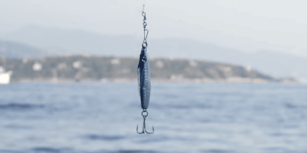 Young anglers cast their lines at Solarium