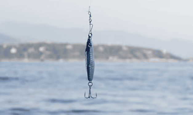 Young anglers cast their lines at Solarium