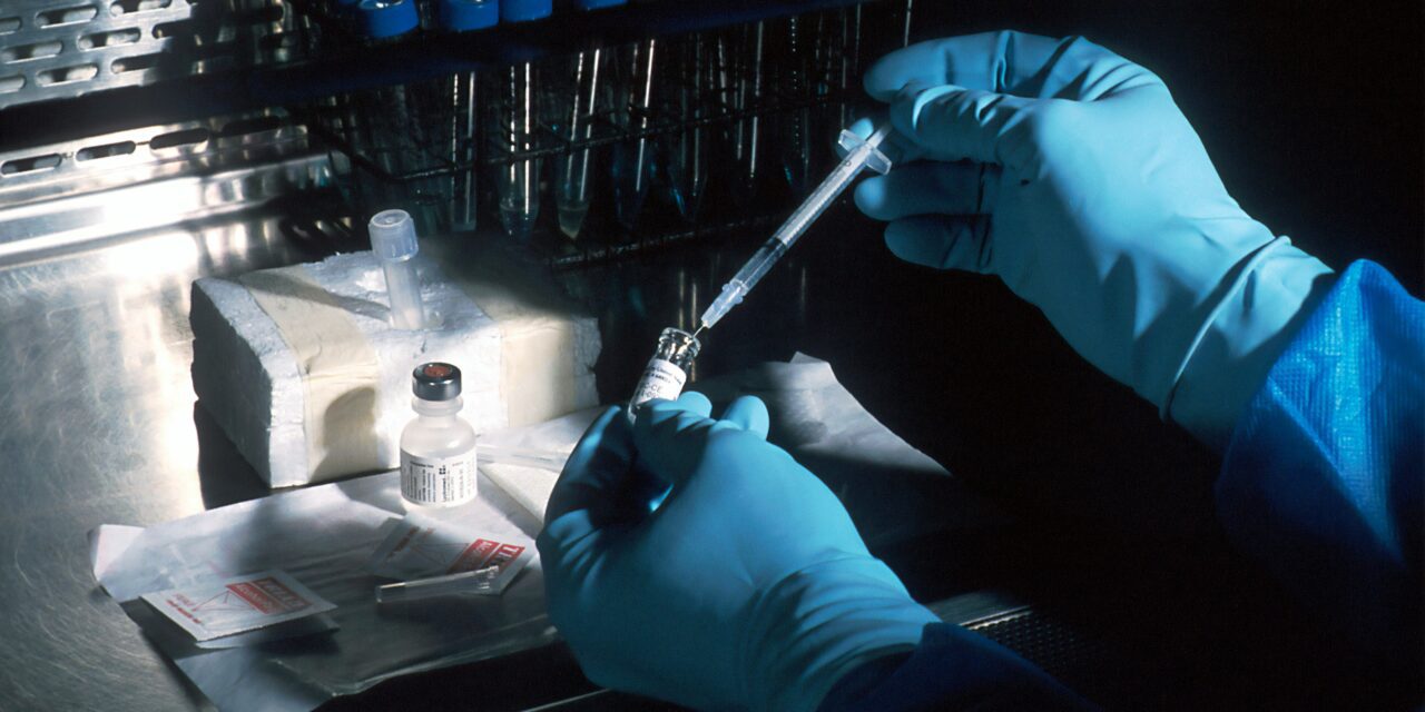 Monaco bus company introduces random drug testing