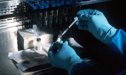 Monaco bus company introduces random drug testing