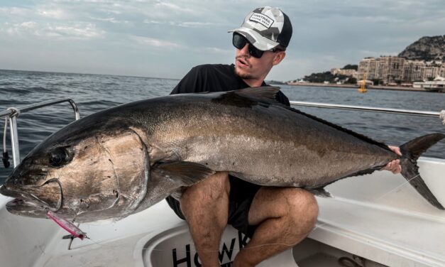 Monster catch: Giant amberjack hauled from waters off Monaco