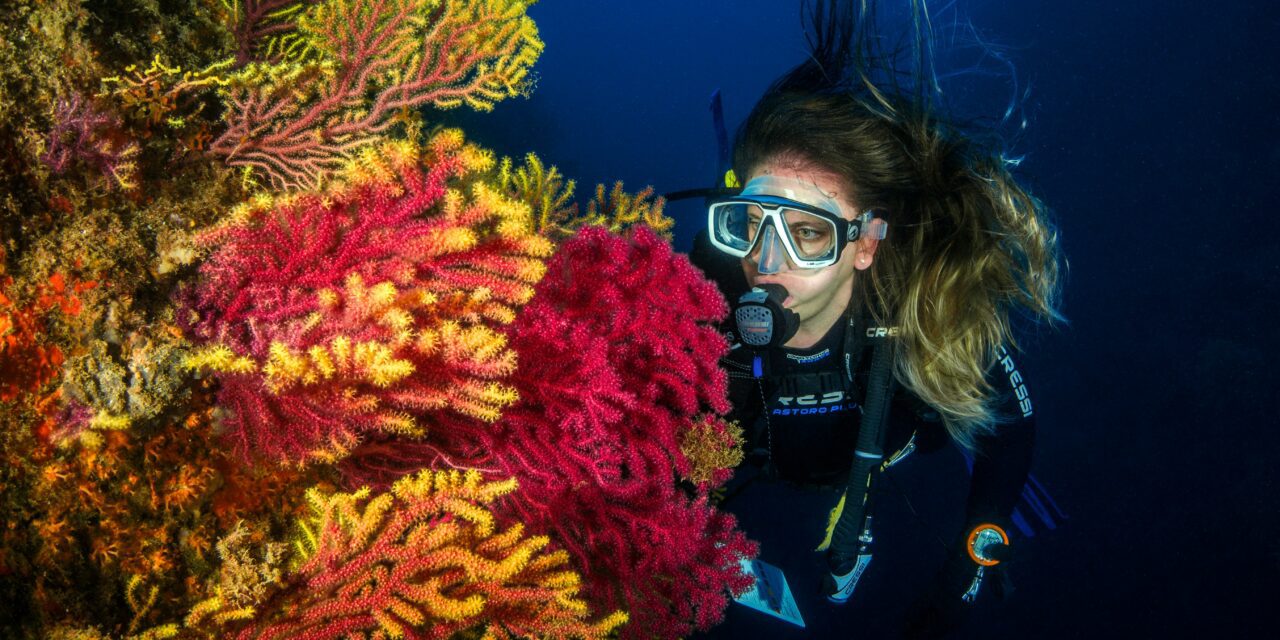 Beauty that goes beneath the surface