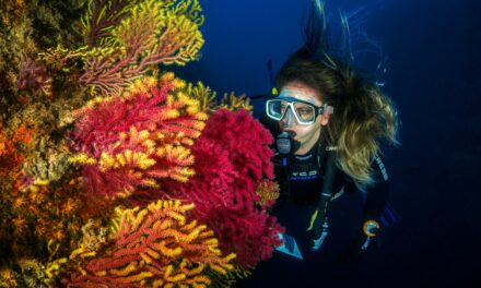 Beauty that goes beneath the surface