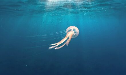 Troubled waters as Mediterranean temperatures rise