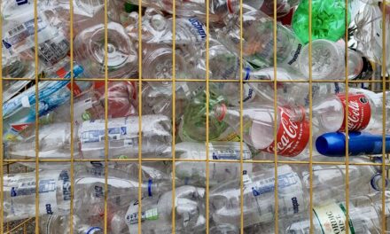 Monaco calls for volunteers as European Waste Reduction Week returns