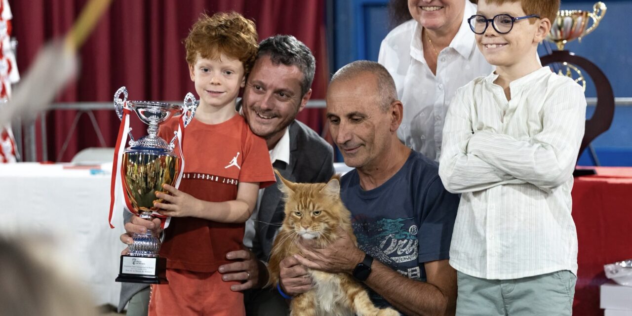 Whiskers, fur and fierce competition at Monaco’s ninth International Cat Show