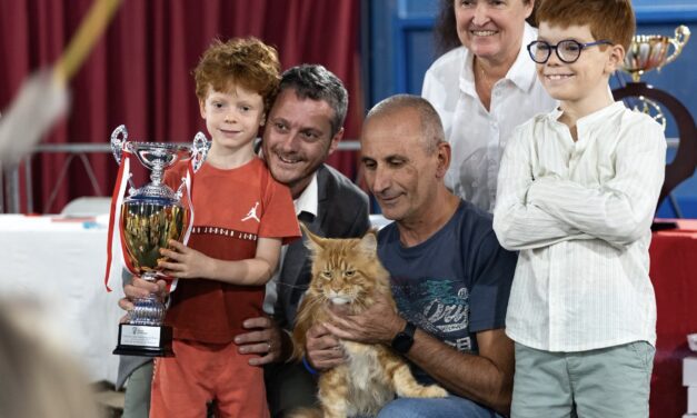 Whiskers, fur and fierce competition at Monaco’s ninth International Cat Show
