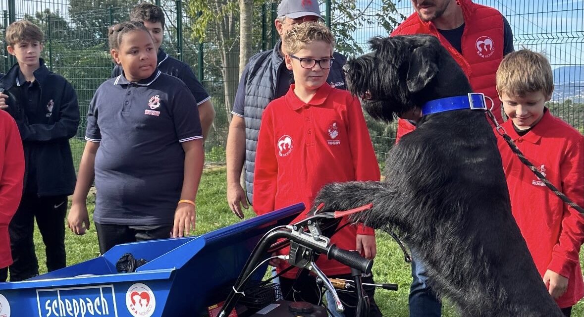 Young rugby players support Monaco animal shelter