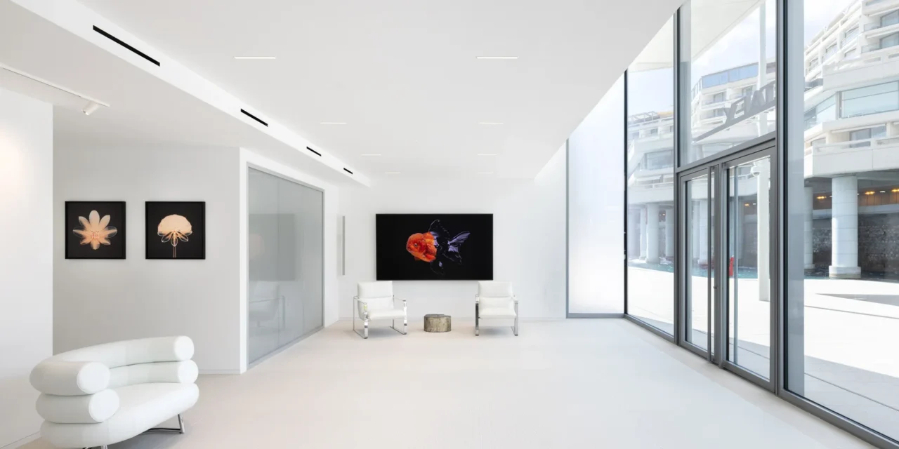 Digital art finds a new home in Monaco’s Mareterra
