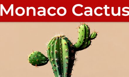 Monaco Cactus contributors unmasked following arrest