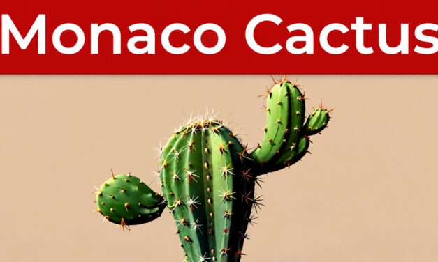 Monaco Cactus contributors unmasked following arrest