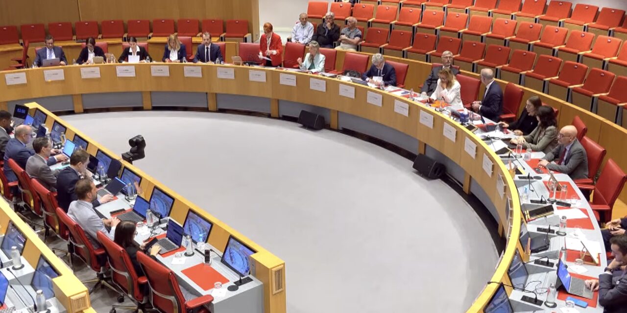 Monaco’s revised budget passes despite political tensions