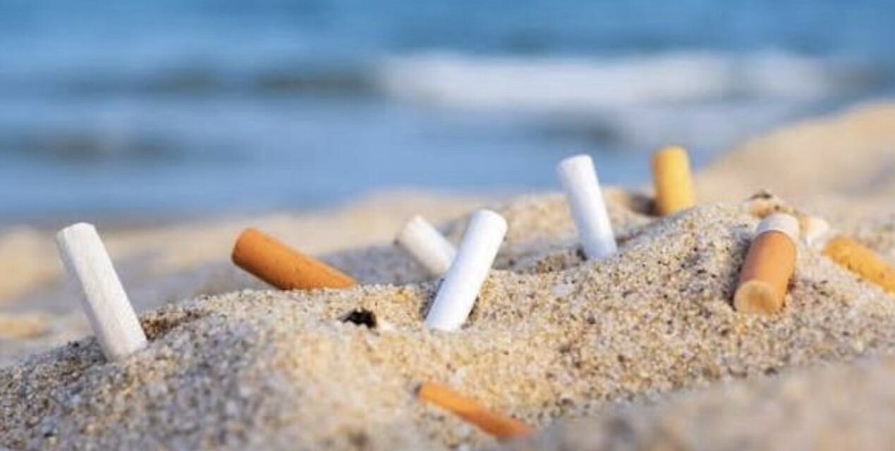 Monaco marine clean-up highlights ongoing pollution at Larvotto