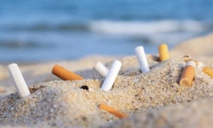 Monaco marine clean-up highlights ongoing pollution at Larvotto