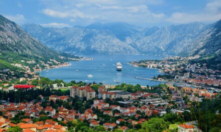 Monaco businesses explore new opportunities in Montenegro