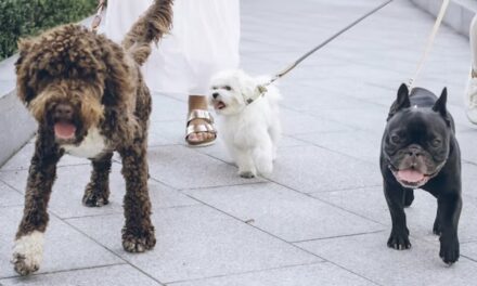 Monaco to distribute free bottles to help dog owners keep streets clean