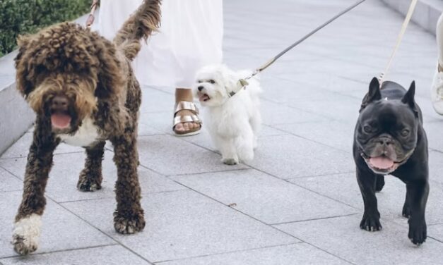 Monaco to distribute free bottles to help dog owners keep streets clean